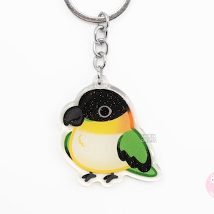 Llavero acrílico de loro caique de cabeza negra, diseño de pájaro, con purpurina de doble cara y arte kawaii de dibujos animados, regalo para amantes de las mascotas exóticas.