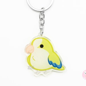 Llavero acrílico de pájaro monje cuáquero verde / Dije de purpurina de doble cara con diseño de dibujos animados kawaii / Lindo regalo para amantes de las mascotas exóticas chibi