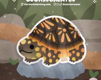 Ornate Box Turtle Waterproof Vinyl Sticker | Kawaii Chibi Animal Lover Art Water Bottle Decal | Cute Cartoon Exotic Pet Reptile Gift