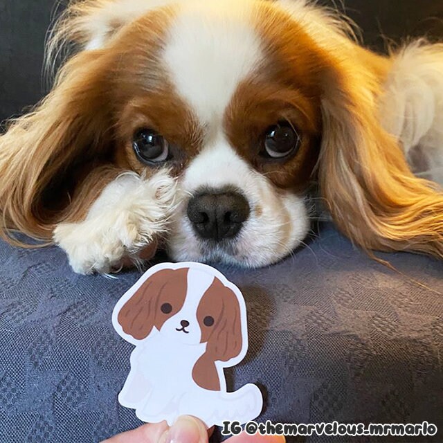 Autocollant 3D Cavalier King Charles Spaniel - Effet Déchiré Réfléchissant - 15 Cm - Imperméable, Pour Voiture, PC