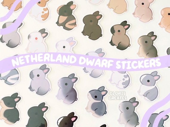 Netherland Dwarf nethie Rabbit Breed Die Cut Sticker - Etsy Ireland Netherland Dwarf nethie Rabbit Breed Die Cut Sticker - Etsy Ireland