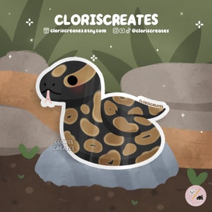 Normal Ball Python Snake Waterproof Vinyl Sticker | Kawaii Chibi Animal Lover Art Water Bottle Decal | Cute Exotic Pet Reptile Memorial Gift