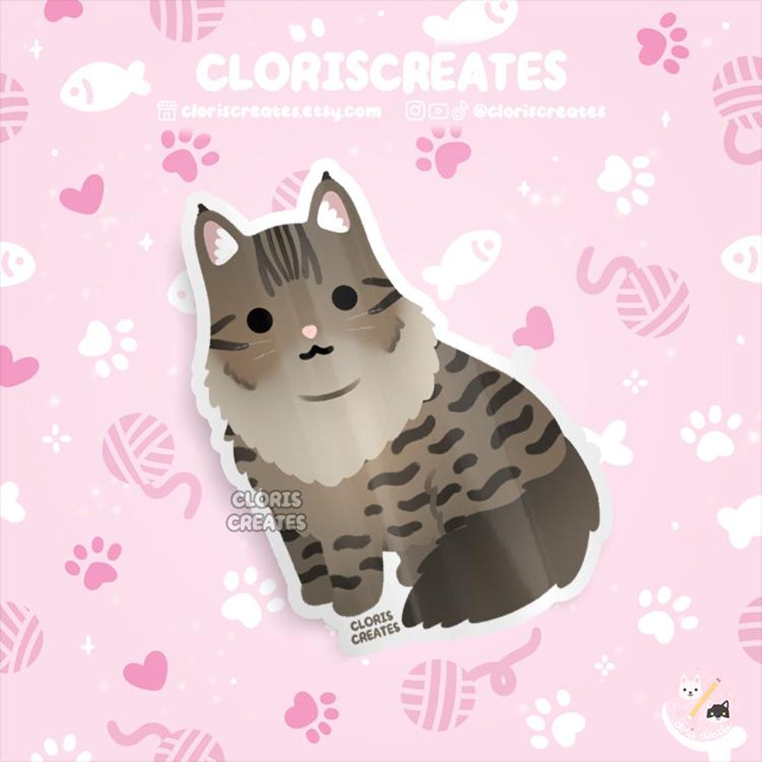 Classic Tabby Maine Coon Longhaired Cat Waterproof Vinyl Sticker ...