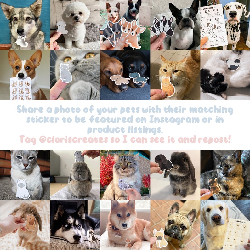 May include: A collage of images featuring pets and their matching stickers. The images show a variety of animals, including dogs, cats, and rabbits. The stickers are colorful and feature cartoon illustrations of the animals. The text "Share a photo of your pets with their matching sticker to be featured on Instagram or in product listings. Tag @cloriscreates so I can see it and repost!" is displayed at the bottom of the collage.