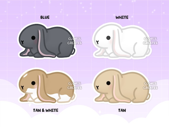English Lop Rabbit
