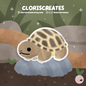 Russian Tortoise Turtle Waterproof Vinyl Sticker | Kawaii Chibi Animal Lover Art Water Bottle Decal | Cute Cartoon Exotic Pet Reptile Gift