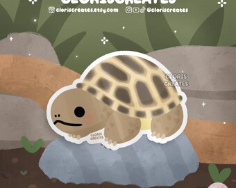 Blue Eyed Ball Python Snake Waterproof Vinyl Sticker | Kawaii Chibi ...