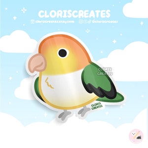 Pegatina de vinilo impermeable de la raza de loro caique de vientre blanco / Calcomanía para portátil con diseño de loro chibi kawaii / Lindo regalo de dibujos animados para la pérdida de una mascota
