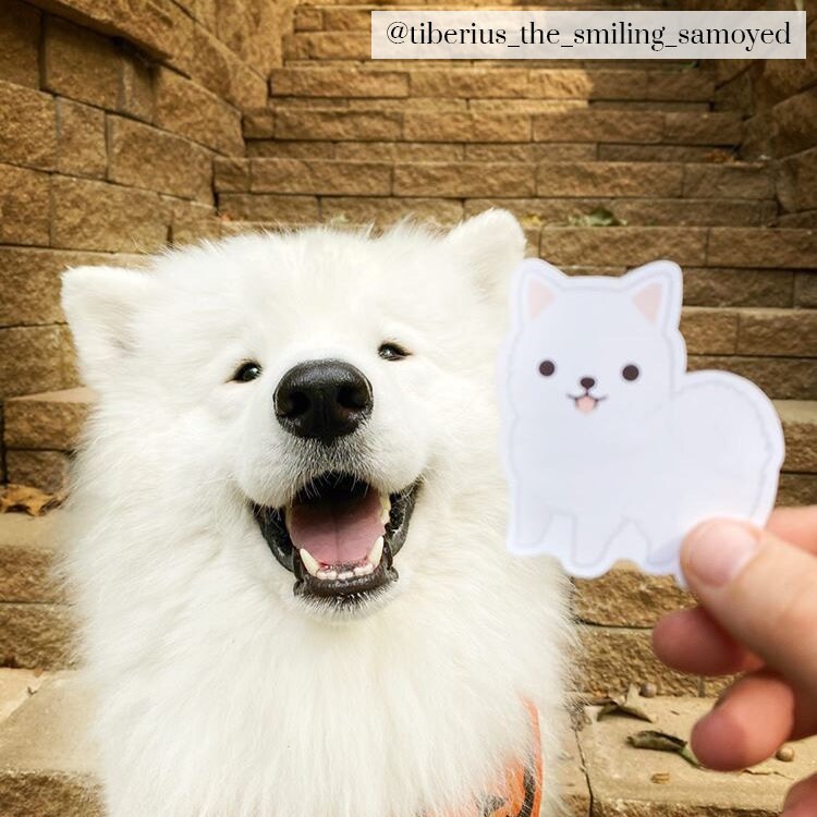Samoyed doll clearance