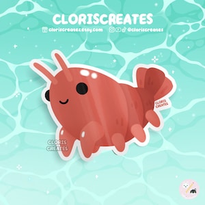 Süßwasseraquarium Garnelen wasserdicht sterben geschnitten Aufkleber | Kawaii Chibi Krebstier Laptop Aufkleber | Niedliches Cartoon-exotisches Haustier-Tierliebhaber-Geschenk