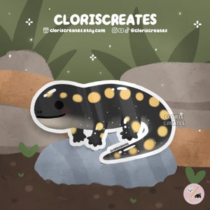 Spotted Salamander Lizard Waterproof Vinyl Sticker | Kawaii Chibi Animal Lover Art Water Bottle Decal | Cute Cartoon Exotic Pet Reptile Gift