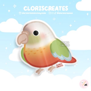 Pegatina de vinilo impermeable de conure de mejillas verdes de piña / Calcomanía para portátil con diseño de loro chibi kawaii / Lindo dibujo animado exótico para regalo de pérdida de mascota
