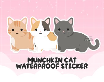 Munchkin Kitten Etsy Mexico Munchkin Kitten Etsy Mexico