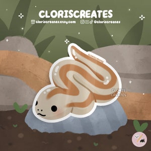 Rosy Boa Snake Waterproof Vinyl Sticker | Kawaii Chibi Animal Lover Art Water Bottle Decal | Cute Cartoon Exotic Pet Reptile Memorial Gift