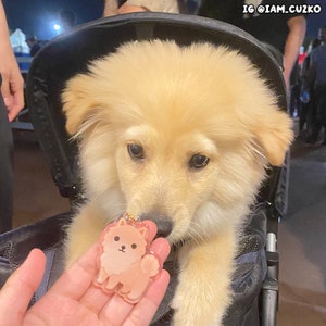 May include: A light brown dog with white fur on its chest and paws is looking at a pink and white cartoon dog keychain. The keychain is being held in a person's hand.