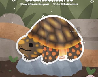 Red Footed Tortoise Turtle Waterproof Vinyl Sticker | Kawaii Chibi Animal Lover Art Laptop Decal | Cute Cartoon Exotic Pet Reptile Zoo Gift