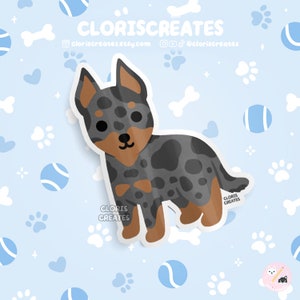 Cropped Harlequin Beauceron Dog Breed Waterproof Vinyl Sticker | Kawaii Chibi Animal Art Decal | Cute Cartoon Puppy Pet Loss Memorial Gift