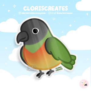 Pegatina de vinilo impermeable de la raza de loro senegalés / Calcomanía para portátil con diseño de animales kawaii chibi para amantes del arte / Lindo dibujo animado exótico para conmemorar la pérdida de una mascota