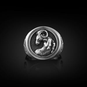 Aries Zodiac Signet Ring For Men, Male Pinky Ring with Intaglio Zodiac Sign Symbol, Astrology Ring For Boyfriend, Horoscope Jewelry For Dad