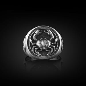 Cancer Zodiac Sign Mens Ring in Silver, Zodiac Pinky Signet Ring in Oxidized Silver, Horoscope Ring For Men, Astrology Ring For Birthday