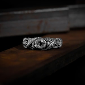 May include: A silver ring with a detailed design of intertwined snakes with raised eyes.