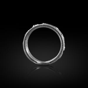 Pu&ograve; includere: Un anello d'argento con un design dettagliato attorno alla fascia.