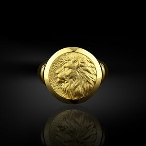 Pinky 14k gold lion signet ring for men, 10k gold leo zodiac sign ring for birthday, 18k gold men signet ring for dad, Anniversary gold gift