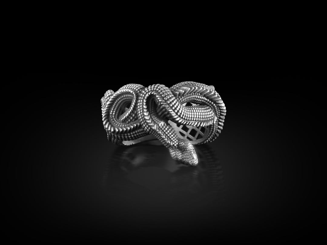 Twisted Snake Ring, Ouroboros Snake Sterling Silver Mens Ring, Snake ...