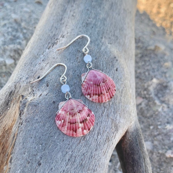 Purple Raspberry Scallop Shell Earrings with light blue beads Silver Wire Wrapped