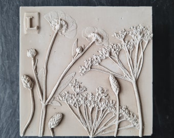 Beautiful botanical cast. Cowparsley picture. Wildflowers. Hedgerow plants. Original art. Plaster flowers. White flowers. Mums gift.
