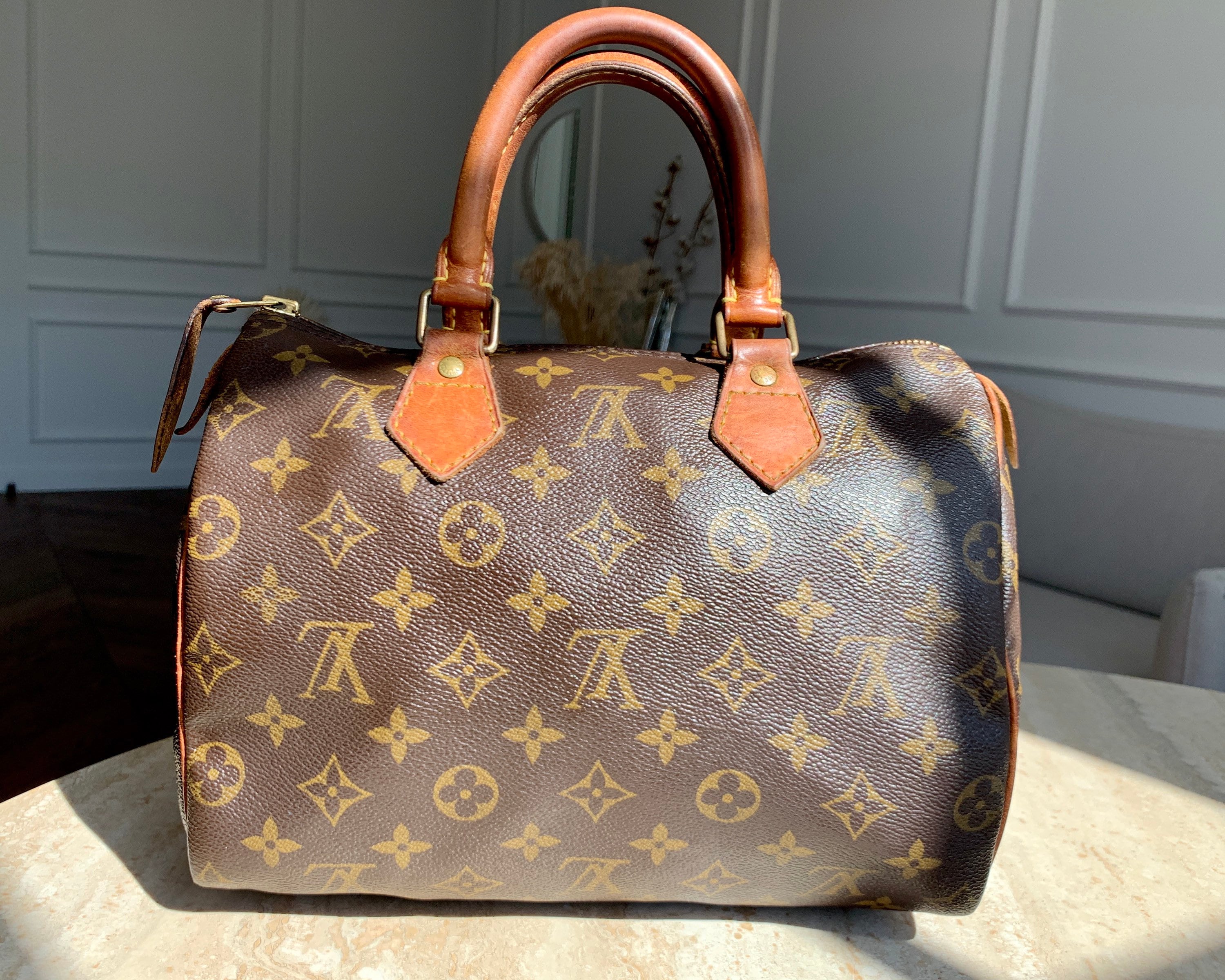 Louis Vuitton Speedy 25 Monogram Bag – Vanilla Vintage