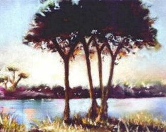 sunset at tree lake