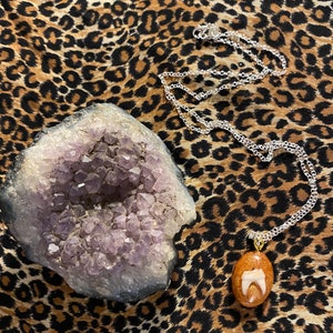 Golden Raccoon Tooth Necklaces