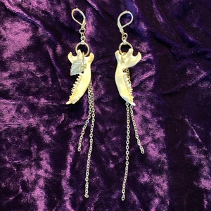 Hedgehog Jaw Earrings