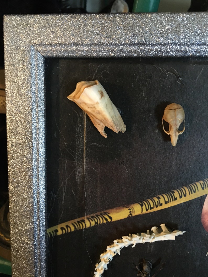 Horrific Beauty Art Collectibles Other Assemblage Vadel Com