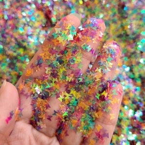 Rainbow Butterfly chunky glitter | Valentines chunky glitter Glitter face body nail art | Loose glitter for Resin nail supplier crafts