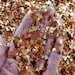 Fall leaves chunky glitter mix | Autumn Glitter for face body hair nail art | Loose glitter for Resin nail supplier crafts 