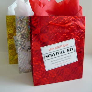 18th Birthday Survival Kit - MALE - Novelty Gift, Fun Birthday Present, Keepsake, 18th Birthday Boy