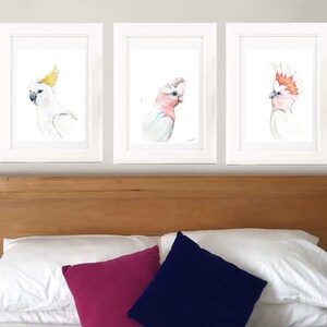 Australian native birds art print set. Cockatoo, pink Galah and Major Mitchell Watercolour pencil artworks. Unique gift, bedroom or wall art Set of 3xA3