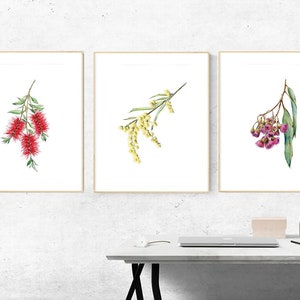 Australian native flower drawing print set. Bottlebrush, Wattle & Gum Blossoms. Watercolour pencil art. Unique gift for her, Aussie decor