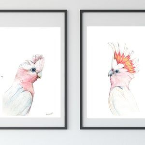 Australian native birds art print set. Cockatoo, pink Galah and Major Mitchell Watercolour pencil artworks. Unique gift, bedroom or wall art image 8