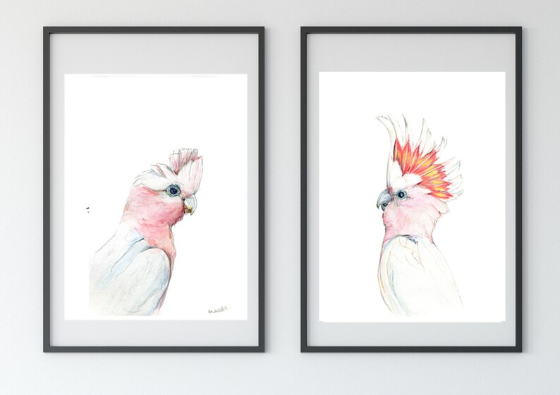 Australian native birds art print set. Cockatoo, pink Galah and Major Mitchell Watercolour pencil artworks. Unique gift, bedroom or wall art image 8