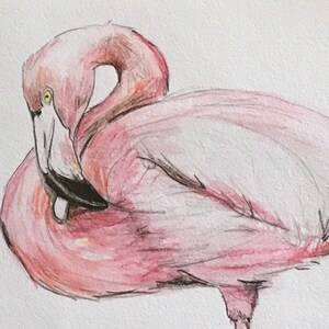 Original hand painted Pink Flamingo print. Watercolor pencil drawing. Exotic Florida bird art, unique gift. Tropical, modern or Scandi decor