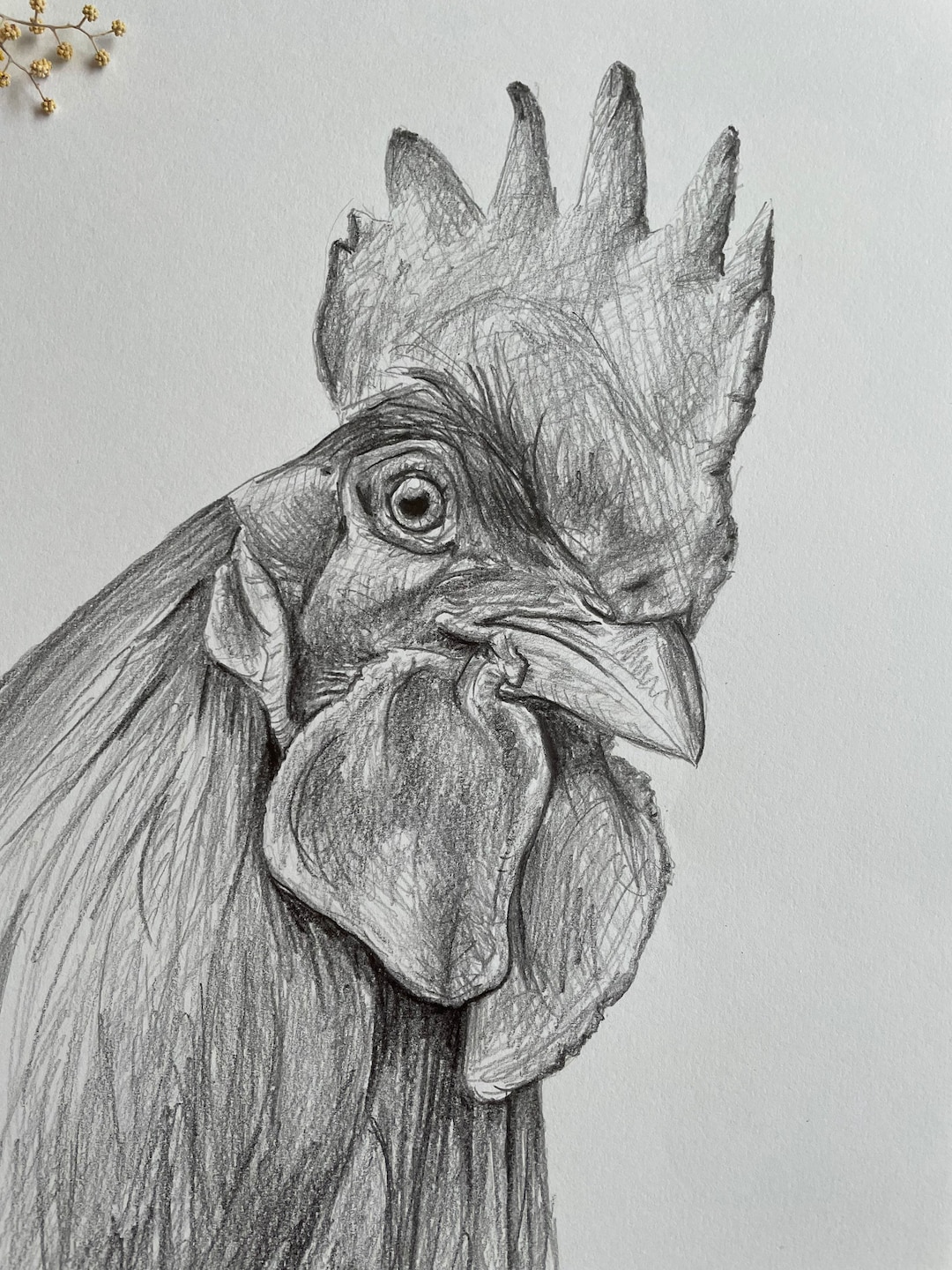 Original Hand Drawn Chicken Drawing Artwork. Black and White Etsy