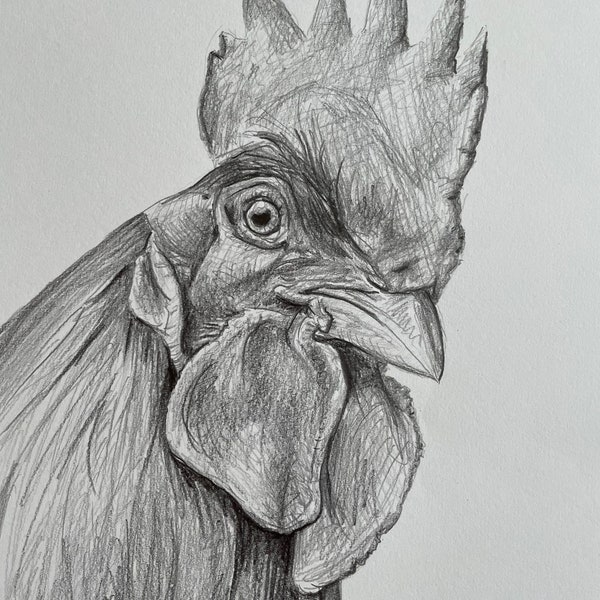 Oeuvre d'art originale de dessin de poulet dessinée à la main. Croquis noir et blanc au crayon de coq de poule. Cadeau unique pour elle, décoration de ferme de campagne