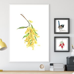 May include: A watercolor painting of a branch of yellow wattle flowers, a common Australian flower. The painting is on a white background.