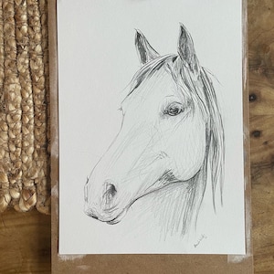 Original horse drawing artwork. Hand drawn equine pencil sketch. Equestrian, elegant Horse lover gift. Australian modern country decor