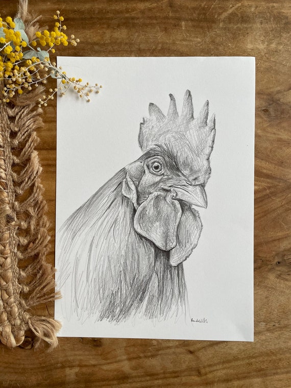 Chicken Drawing Old Stock Illustrations – 2,183 Chicken Drawing Old Stock  Illustrations, Vectors & Clipart - Dreamstime