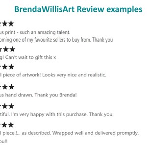 May include: A screenshot of a website showing customer reviews for artwork. The reviews are all positive and mention the artwork's quality, realism, and the artist's talent. The text includes phrases like "gorgeous print", "amazing", "beautiful piece of artwork", "gorgeous hand drawn", and "so beautiful".