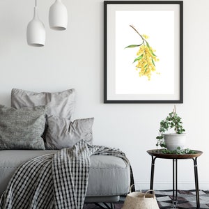 May include: A framed watercolor painting of a branch of yellow wattle flowers with green leaves against a white background.